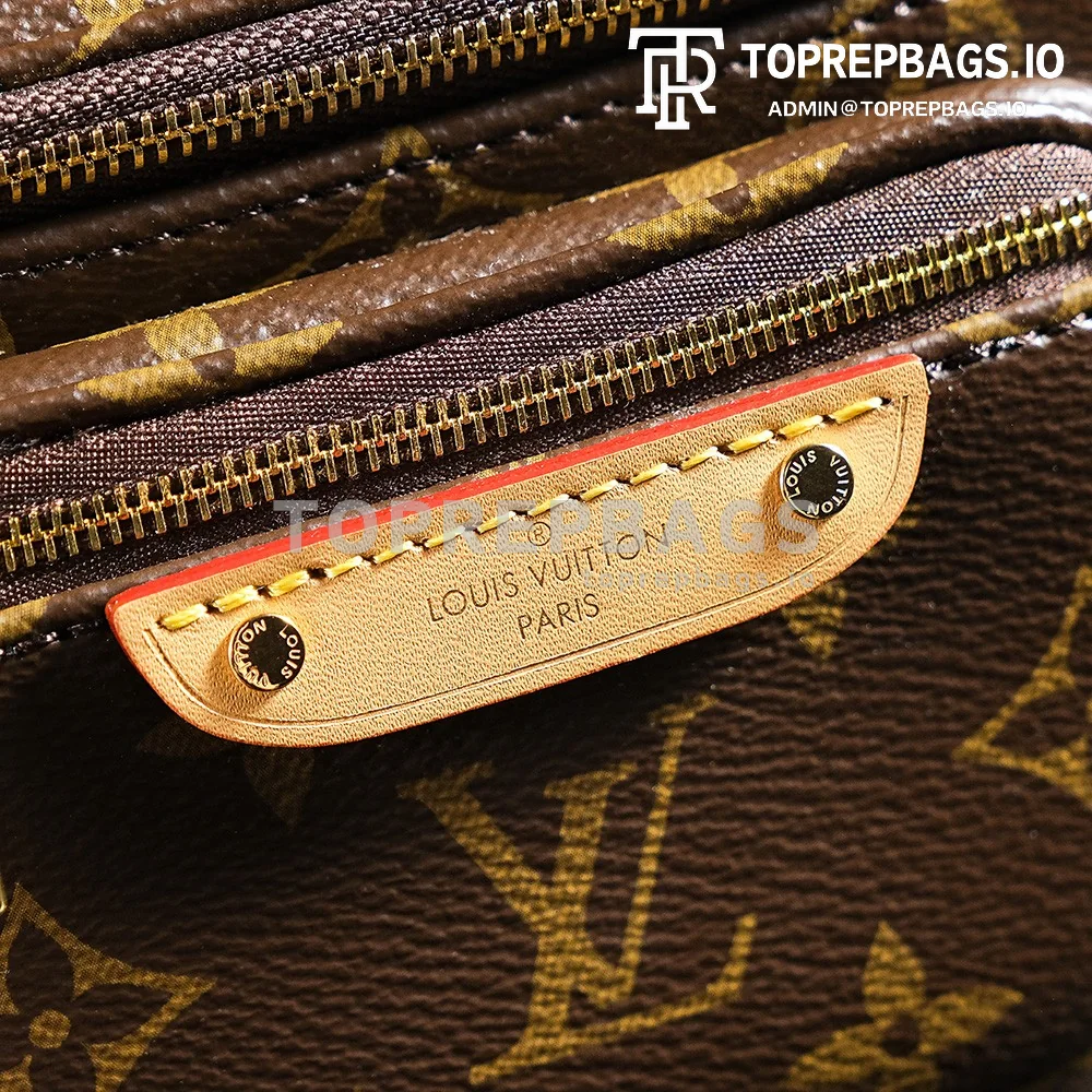 a1731153249771_0754 Louis Vuitton Mini Bumbag in Brown