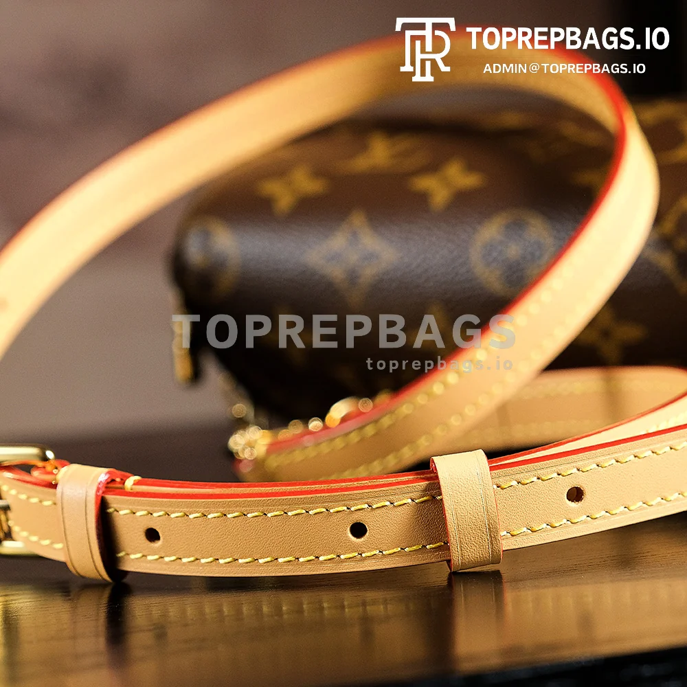 a1731153252213_5315 Louis Vuitton Mini Bumbag in Brown