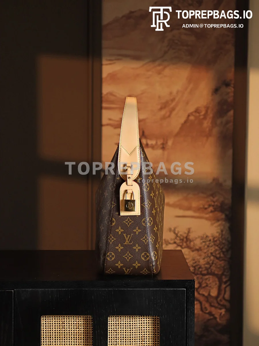 a1736409229270_4664 Louis Vuitton Slouchy MM Hobo in Brown