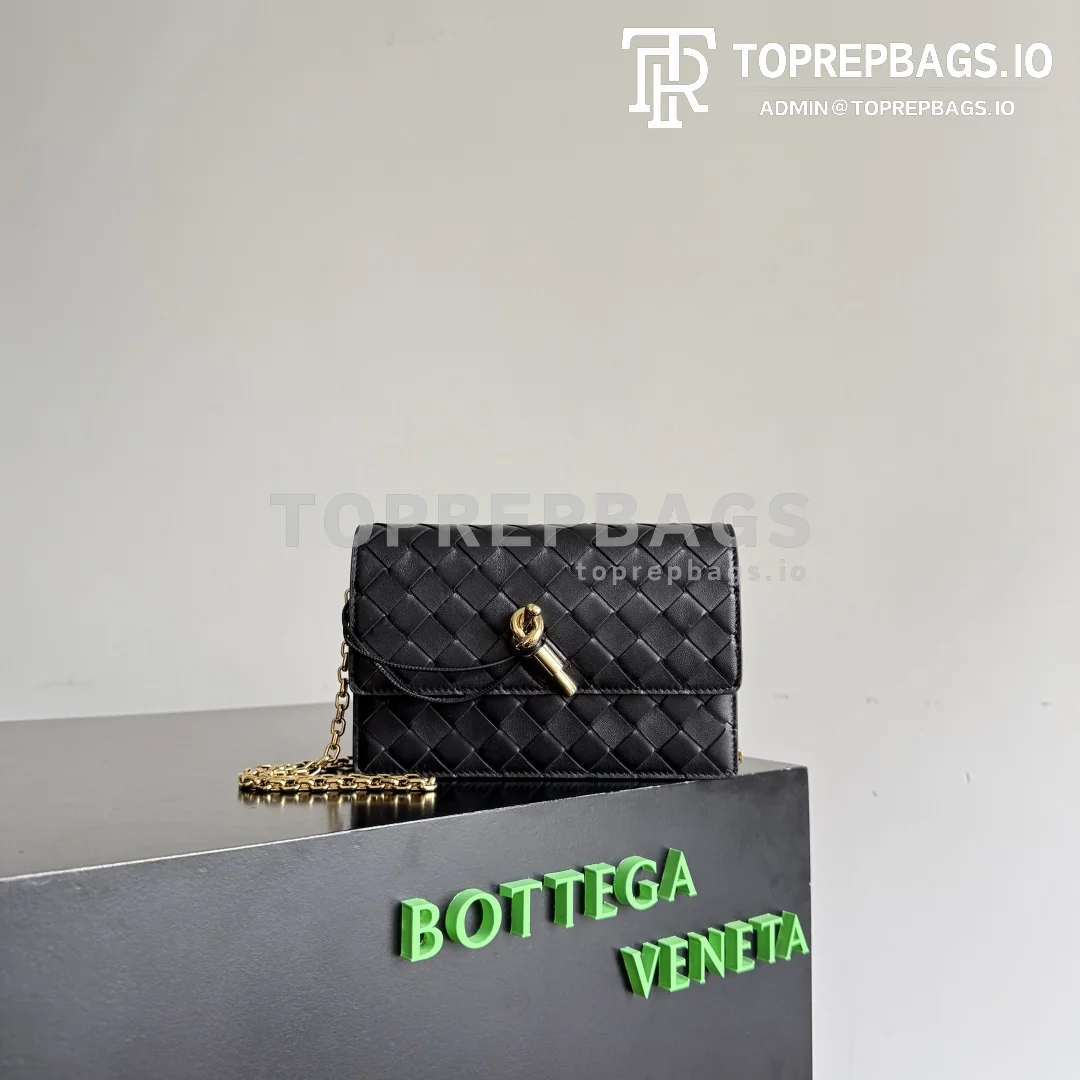 cmp_i1765763687885_4225_0_0 Bottega Veneta Andiamo in Black