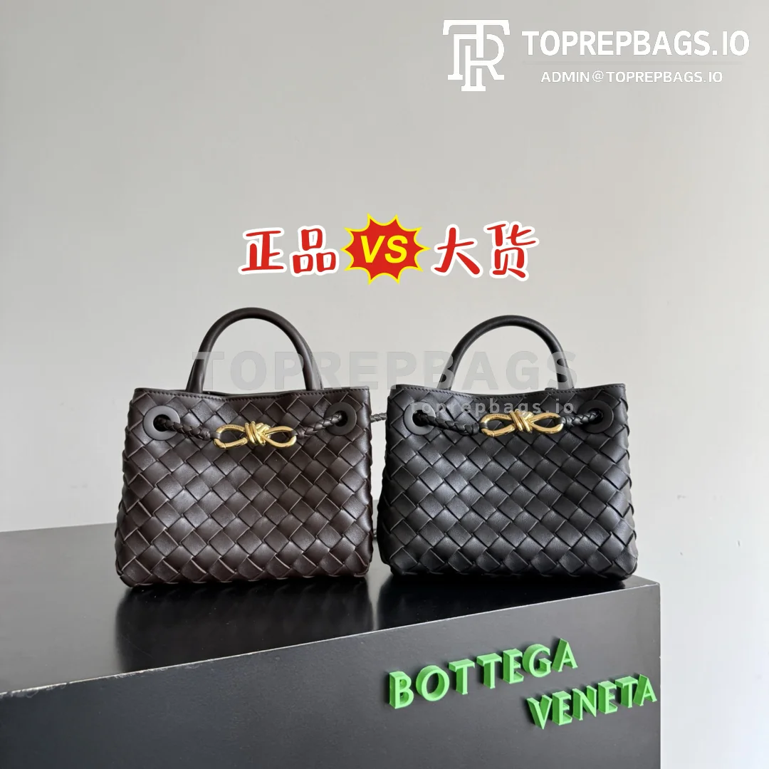 cmp_i1777874354435_2063_0_0 Bottega Veneta Andiamo Mini in Brown