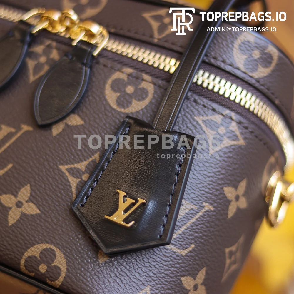 i1622543334_2980_4 Louis Vuitton Vanity PM in Brown