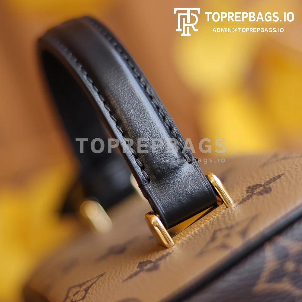i1622543334_8552_1 Louis Vuitton Vanity PM in Brown
