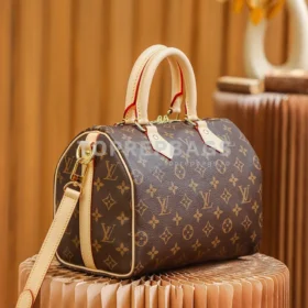 Louis Vuitton Speedy in Brown