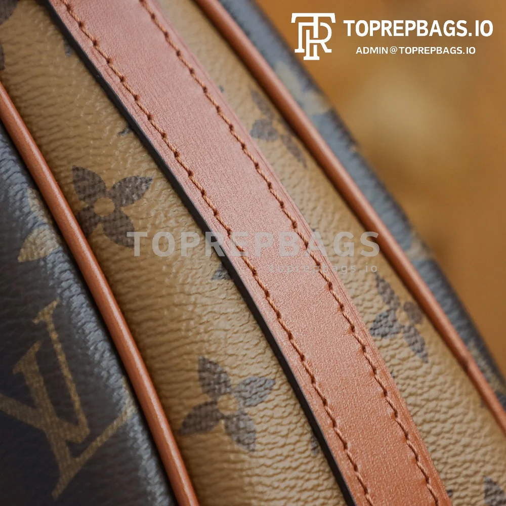 i1667480309_6250_7 Louis Vuitton Loop Hobo in Brown