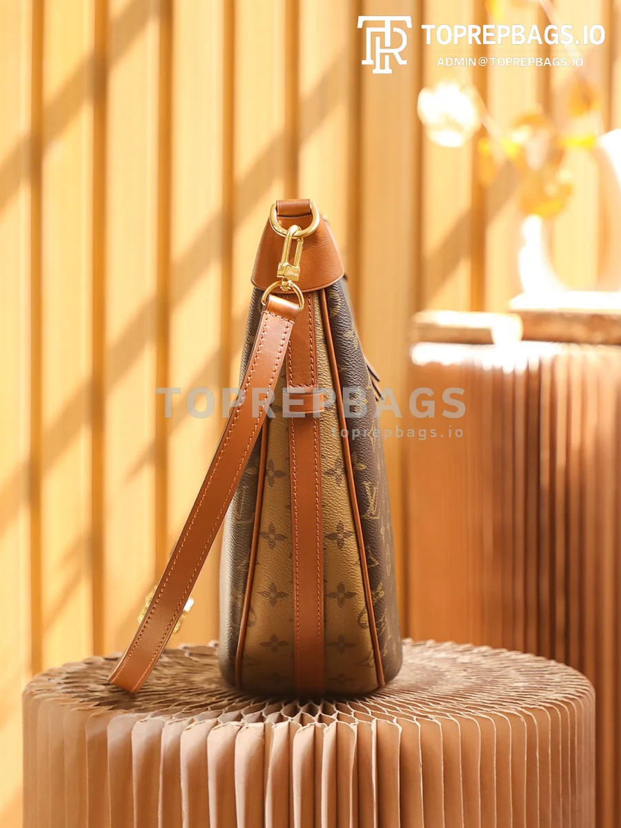 i1668854353_1853_6 Louis Vuitton Loop Hobo in Brown