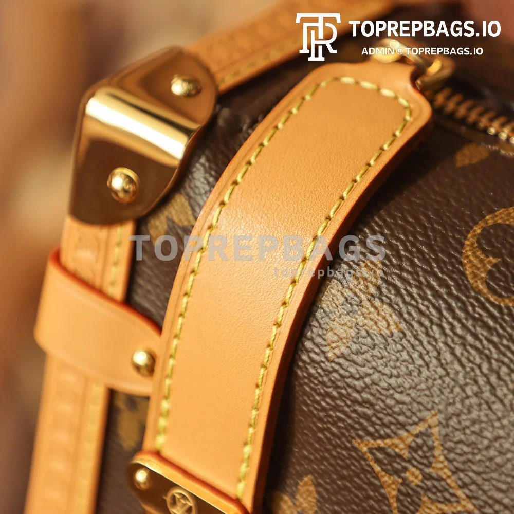 i1671787739_5771_2 Louis Vuitton Side Trunk in Brown
