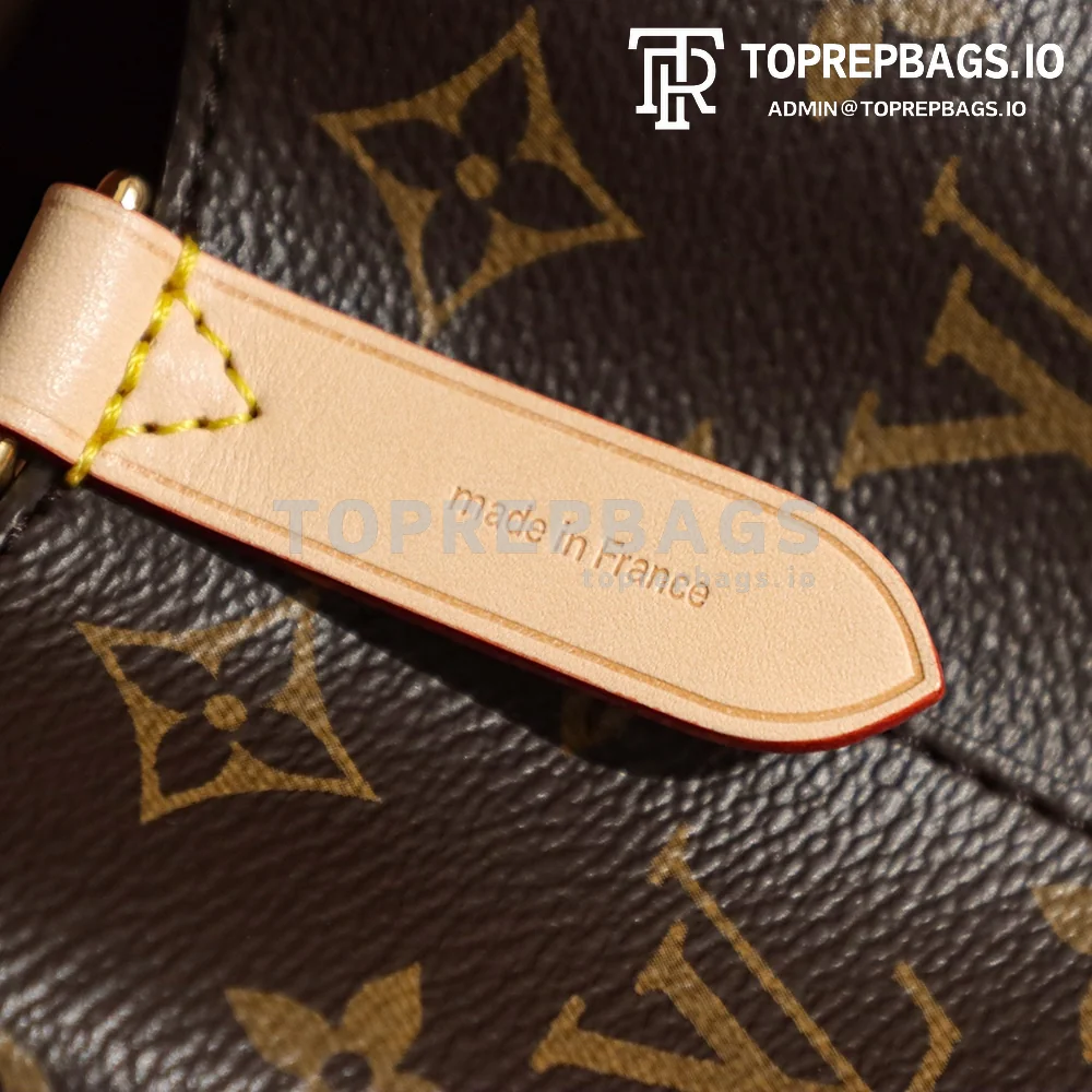 i1680600211_2454_4 Louis Vuitton NeoNoe BB in Brown