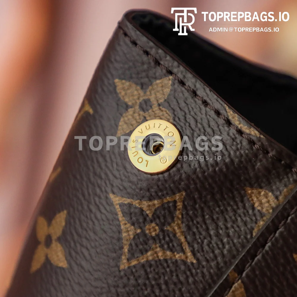 i1684405120_86_3 Louis Vuitton Cluny BB in Brown