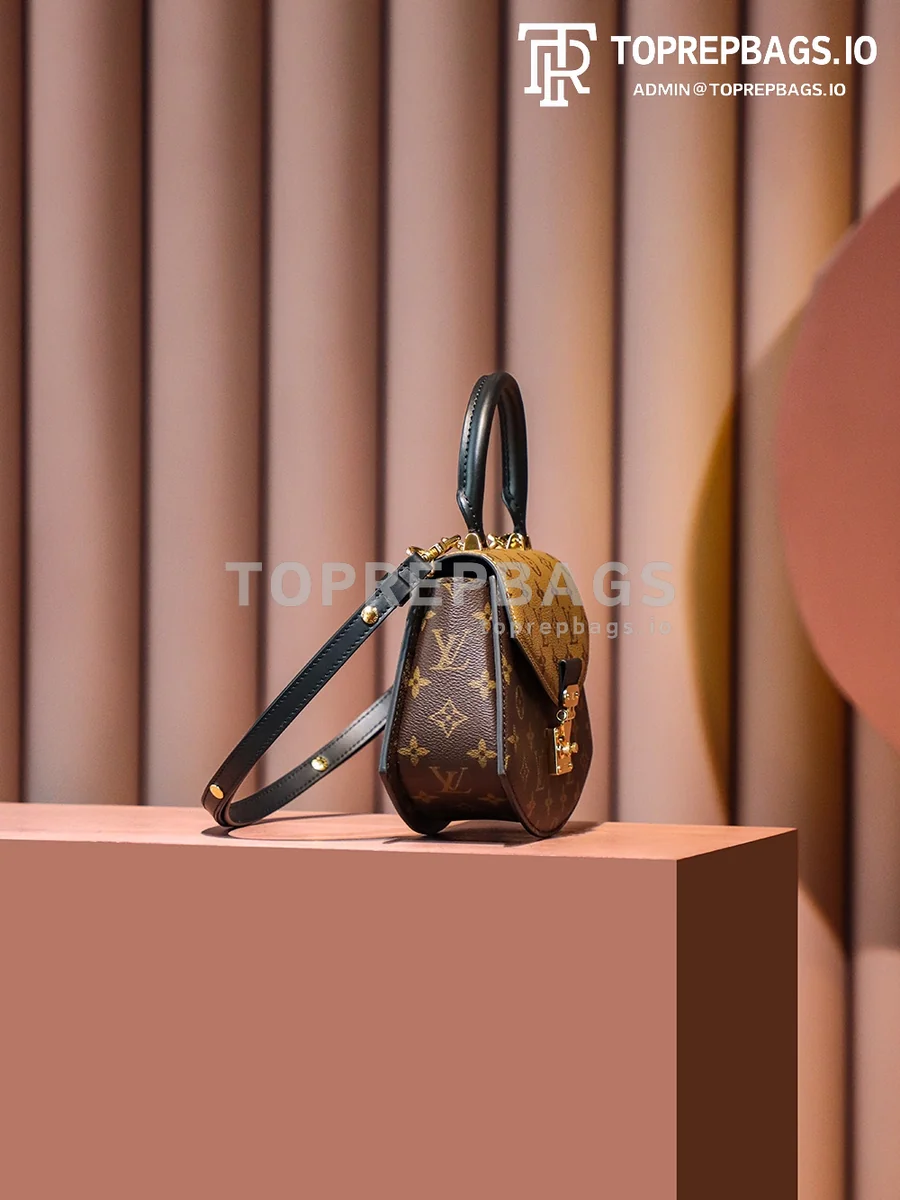 i1687775432_1821_4 Louis Vuitton Tilsitt Saddle in Brown