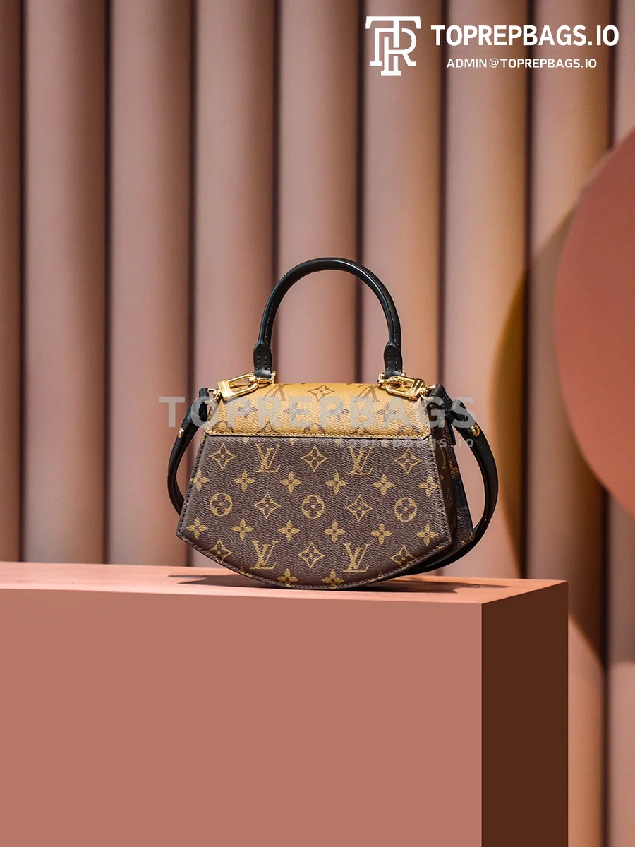 i1687775432_4569_3 Louis Vuitton Tilsitt Saddle in Brown