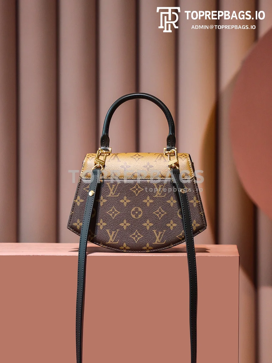 i1687775432_7449_5 Louis Vuitton Tilsitt Saddle in Brown