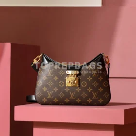 i1688635420_7387_3 Louis Vuitton Twinny in Brown
