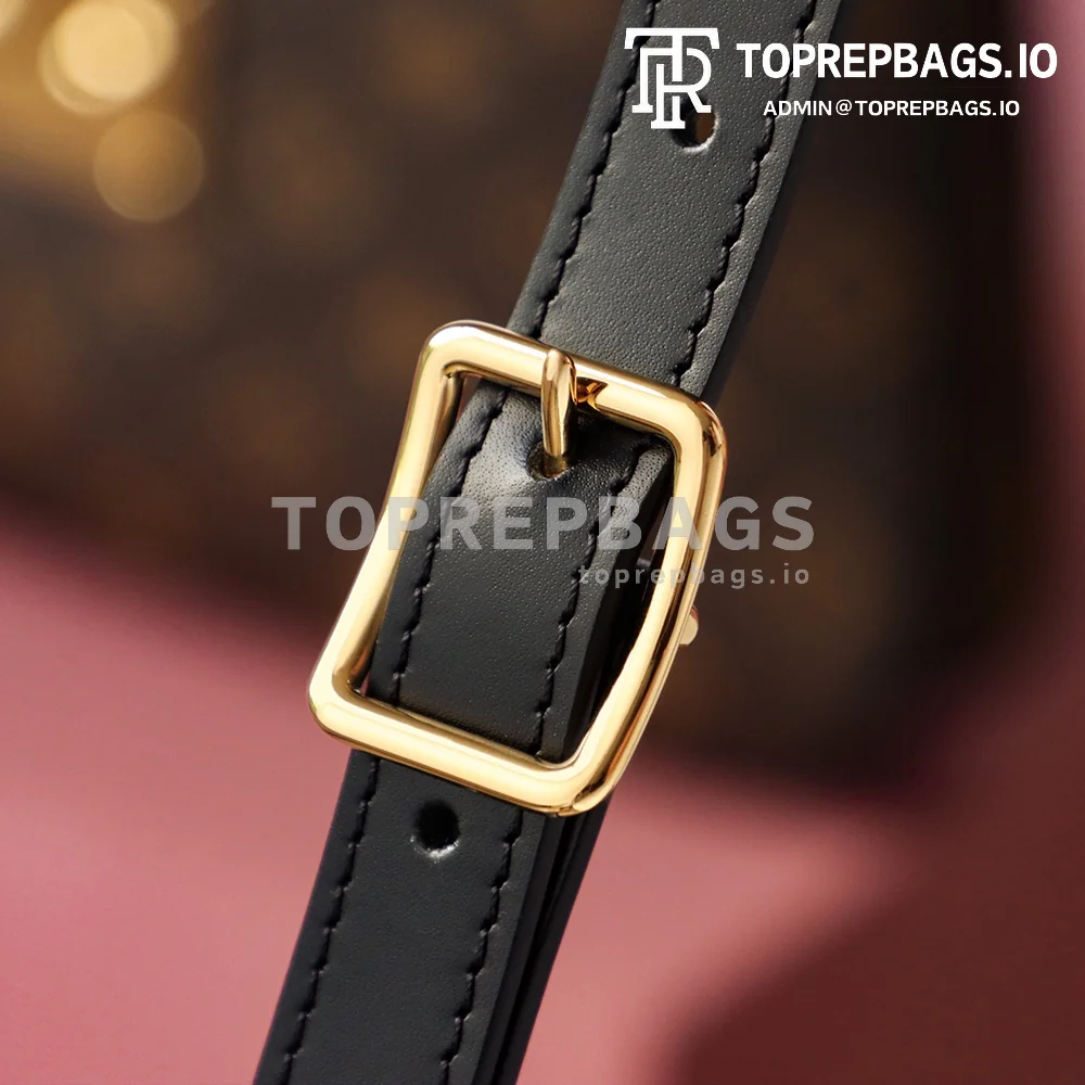 i1688635480_1509_7 Louis Vuitton Twinny in Brown