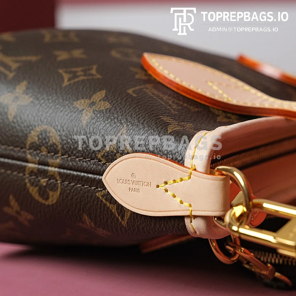 i1695286498_3002_4 Louis Vuitton Neverfull in Brown