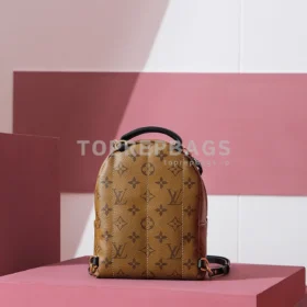 Louis Vuitton Palm Springs Mini in Brown