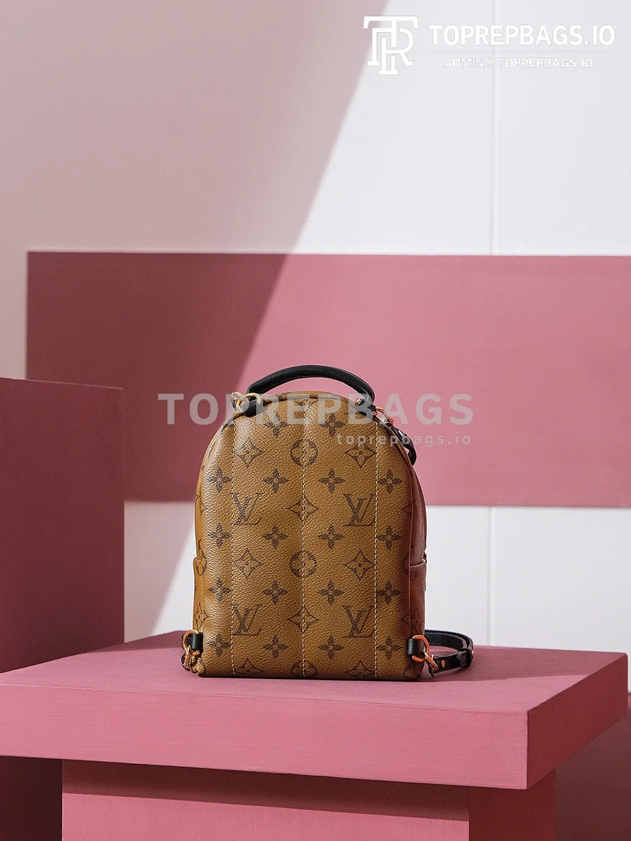 i1698739592_1336_6 Louis Vuitton Palm Springs Mini in Brown