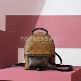 i1698739592_1706_0 Louis Vuitton Palm Springs Mini in Brown
