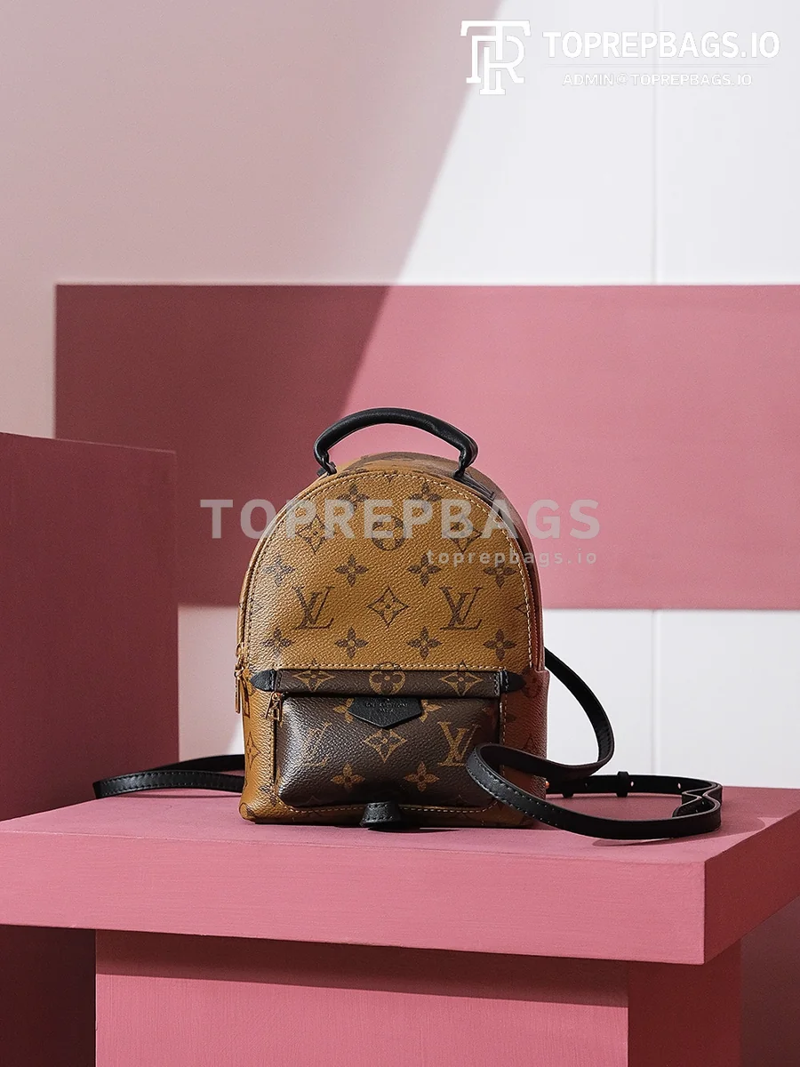 i1698739592_1706_0 Louis Vuitton Palm Springs Mini in Brown