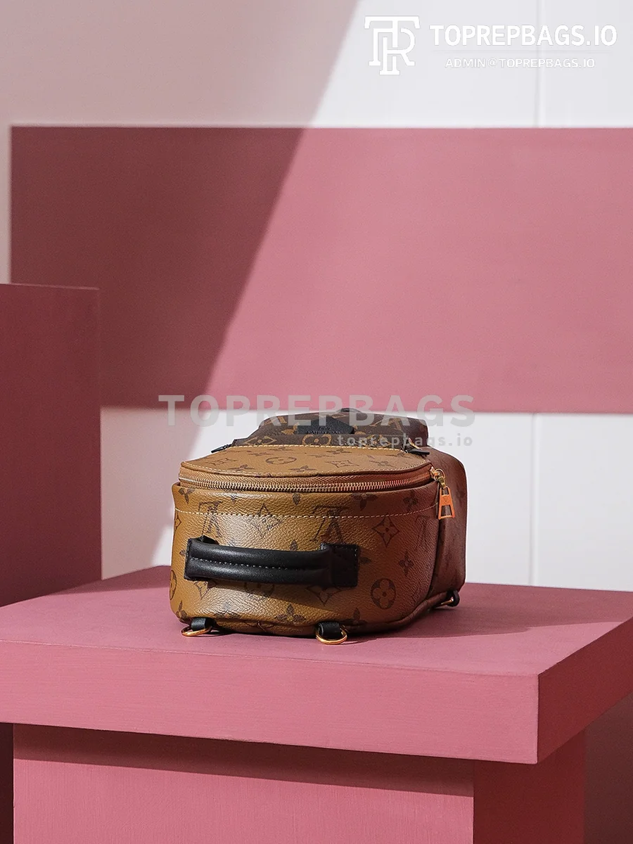 i1698739592_230_5 Louis Vuitton Palm Springs Mini in Brown