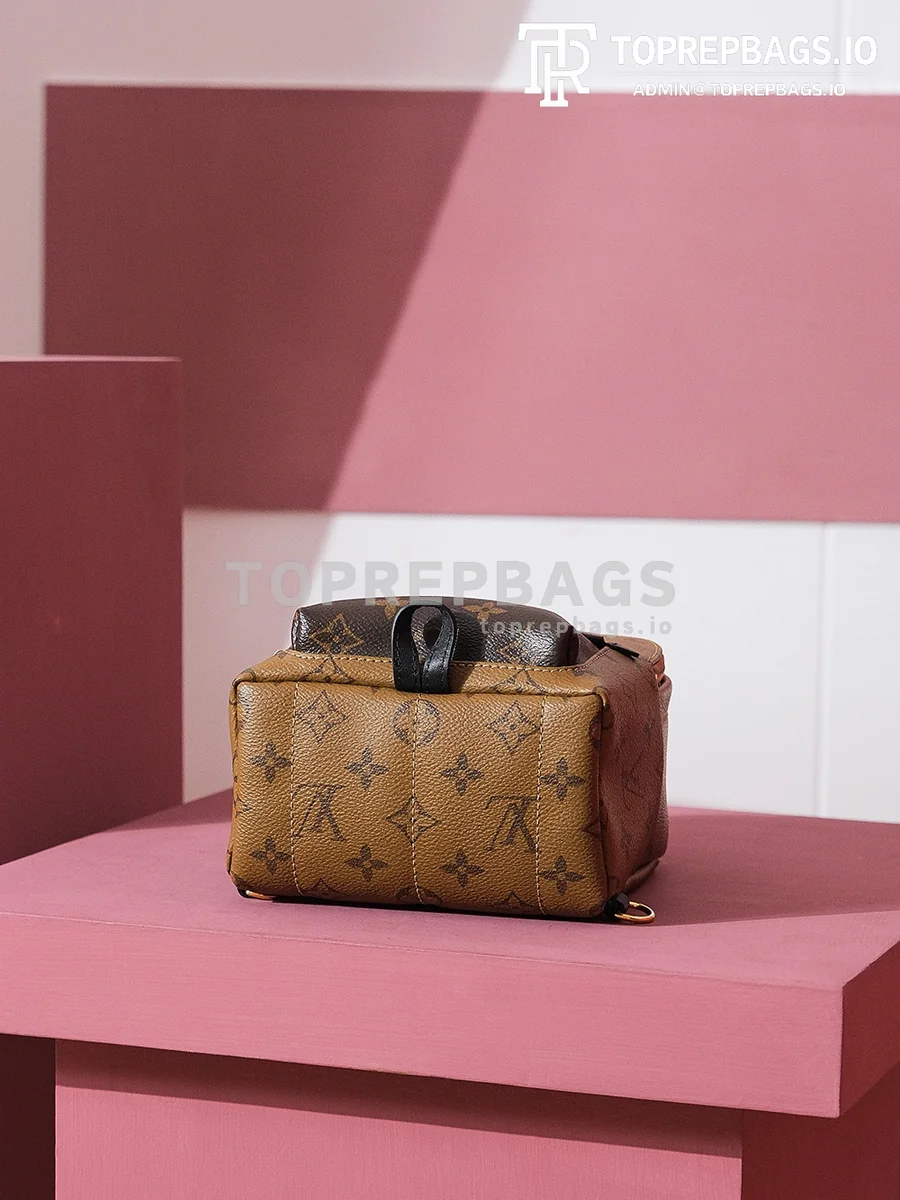 i1698739592_4335_8 Louis Vuitton Palm Springs Mini in Brown