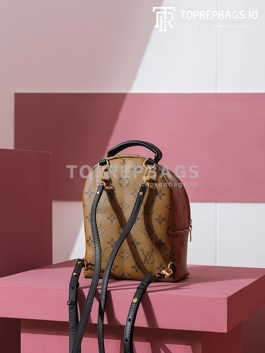 i1698739592_572_1 Louis Vuitton Palm Springs Mini in Brown