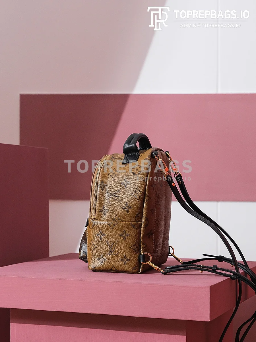 i1698739592_5843_4 Louis Vuitton Palm Springs Mini in Brown