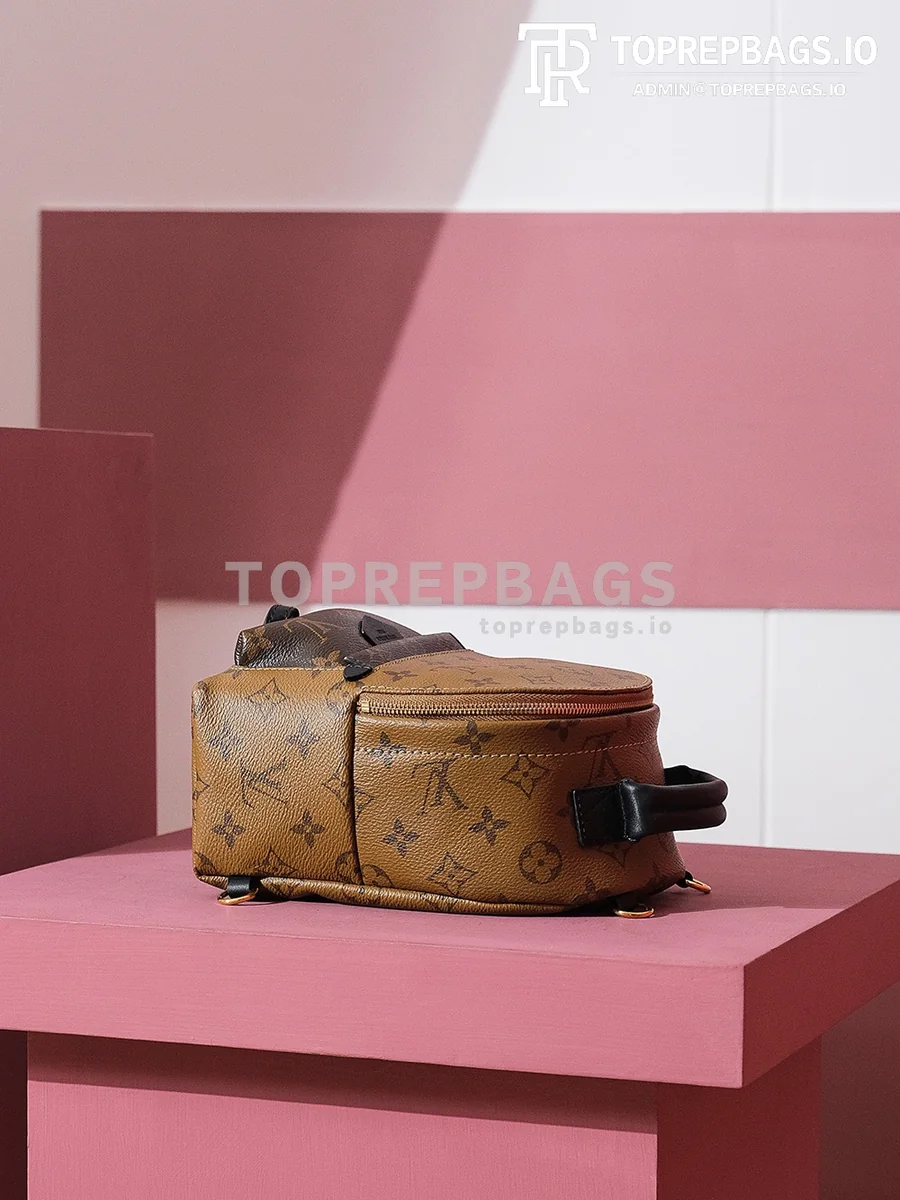 i1698739592_6618_7 Louis Vuitton Palm Springs Mini in Brown