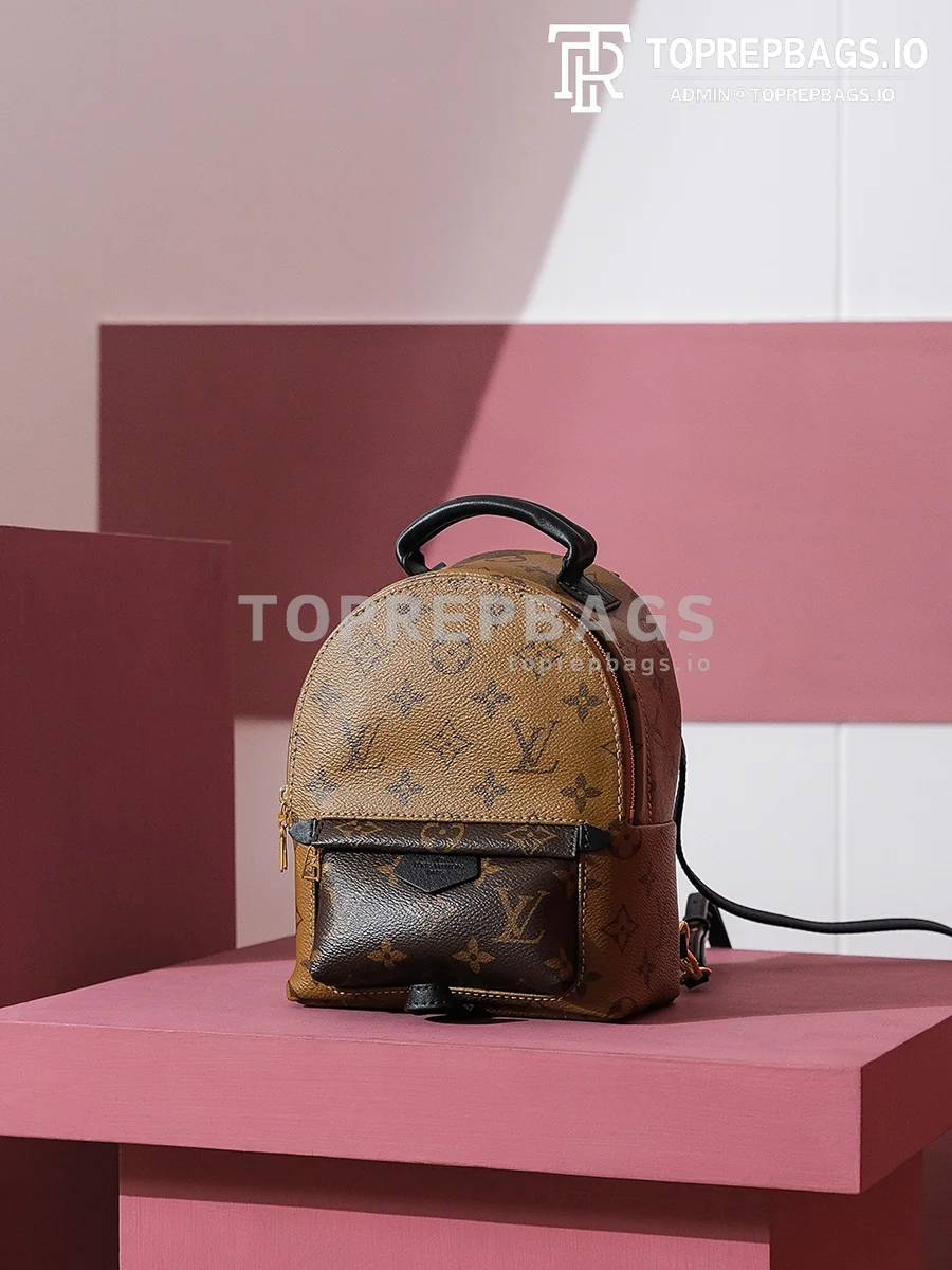 i1698739592_9462_2 Louis Vuitton Palm Springs Mini in Brown