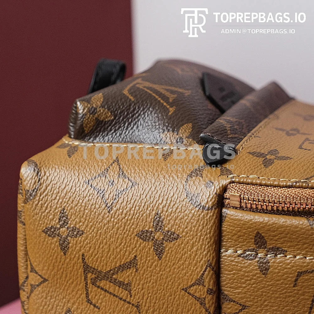 i1698739665_3605_4 Louis Vuitton Palm Springs Mini in Brown