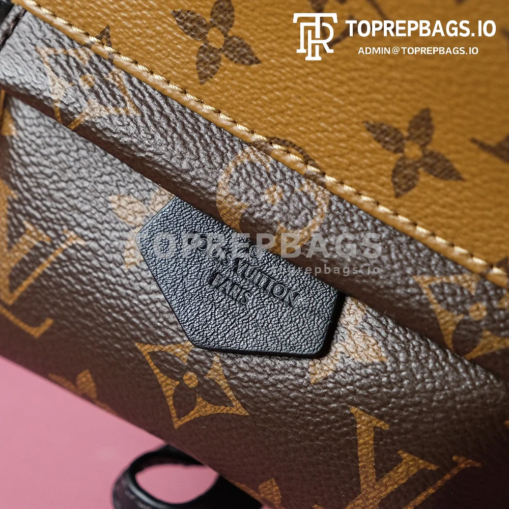 i1698739665_4647_2 Louis Vuitton Palm Springs Mini in Brown