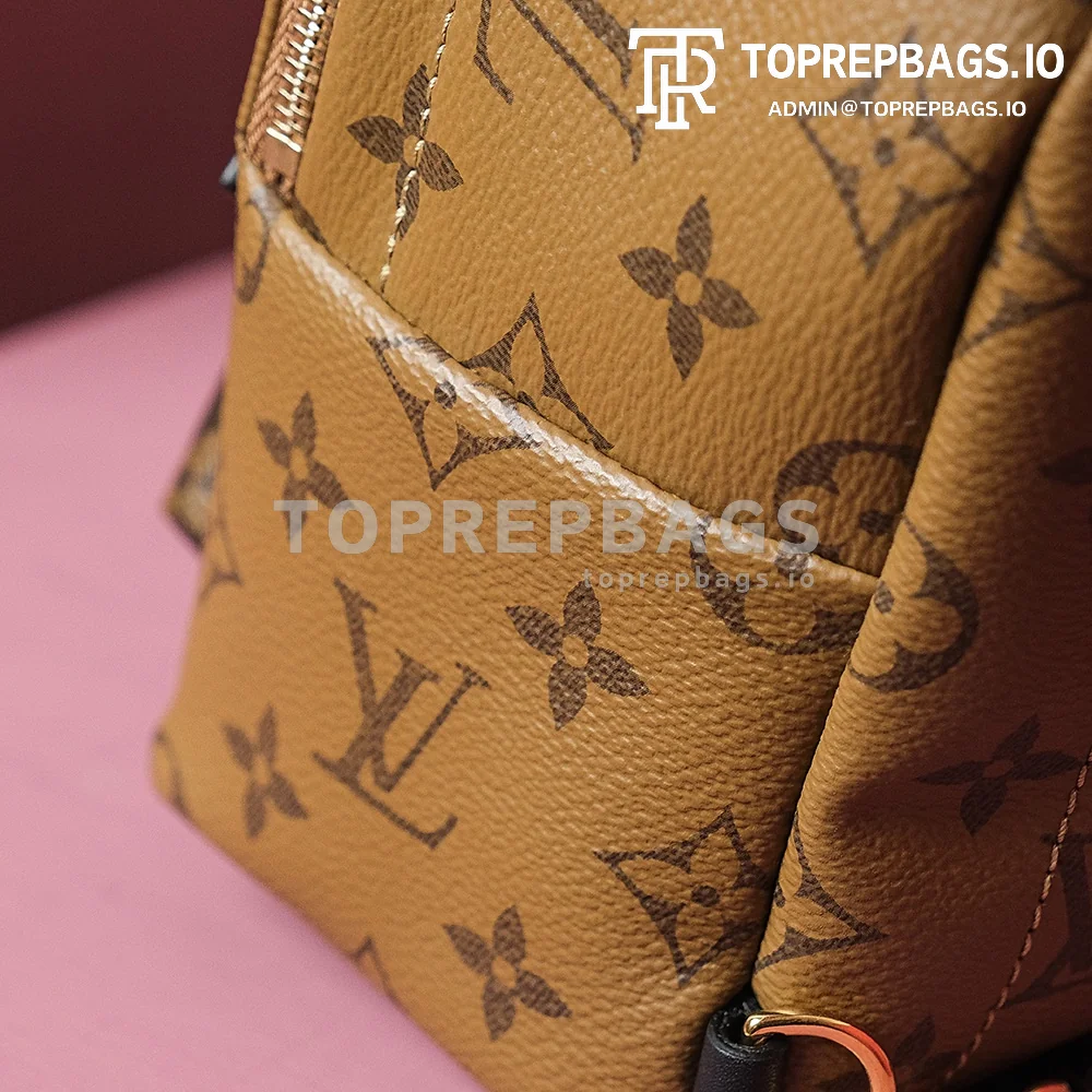 i1698739665_8403_3 Louis Vuitton Palm Springs Mini in Brown