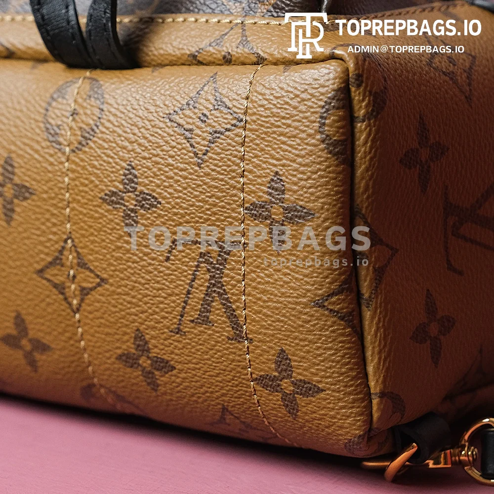 i1698739665_8503_6 Louis Vuitton Palm Springs Mini in Brown