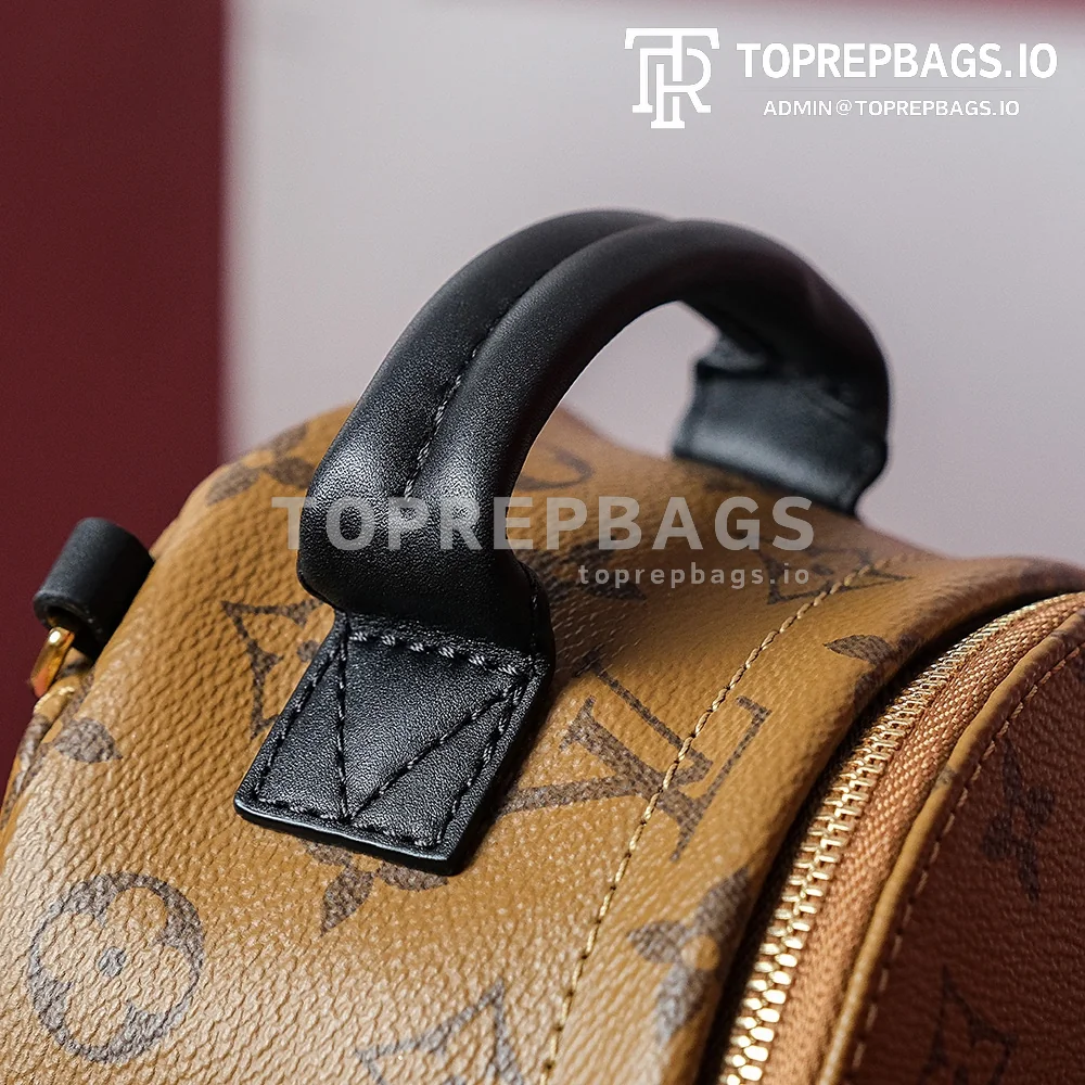 i1698739665_9063_1 Louis Vuitton Palm Springs Mini in Brown