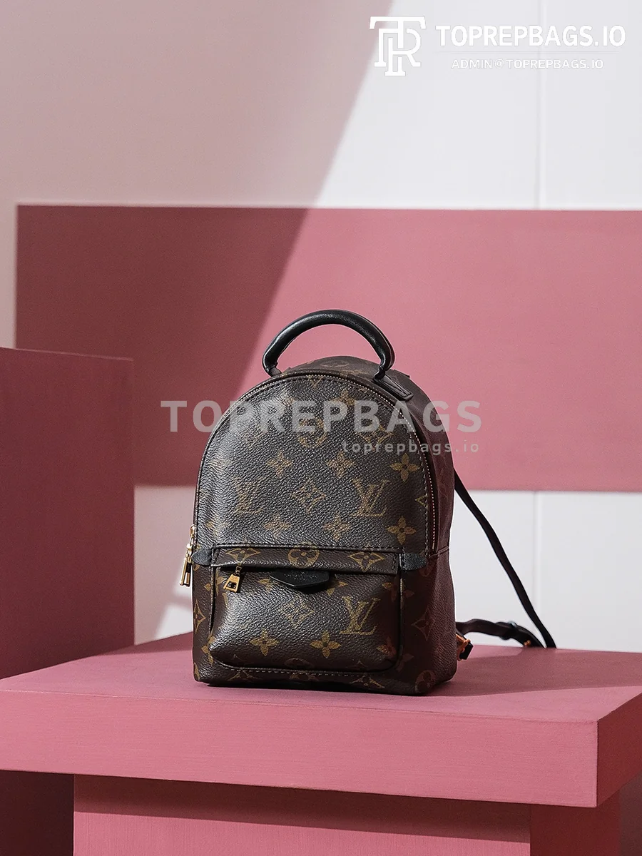 i1698739827_160_4 Louis Vuitton Palm Springs Mini in Brown