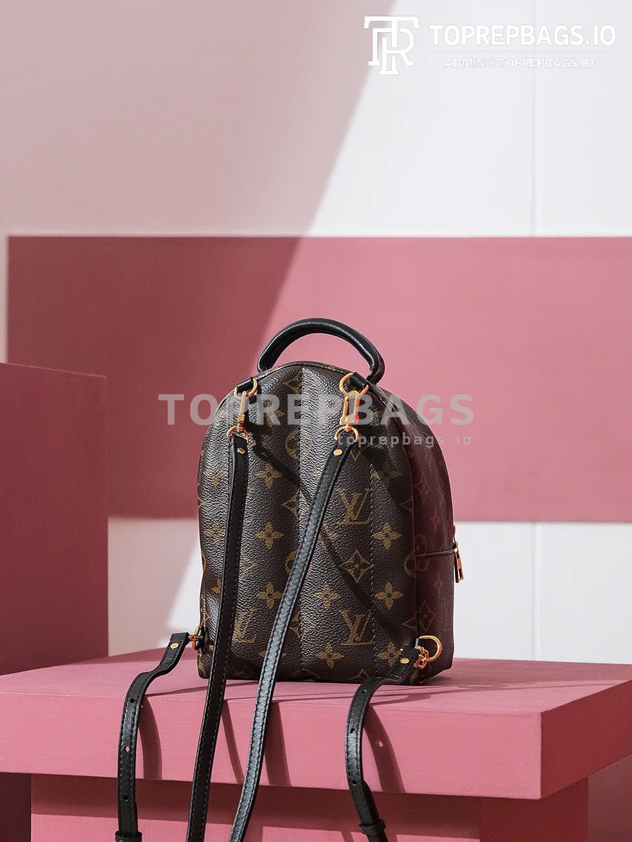 i1698739827_3756_6 Louis Vuitton Palm Springs Mini in Brown