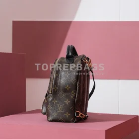 Louis Vuitton Palm Springs Mini in Brown