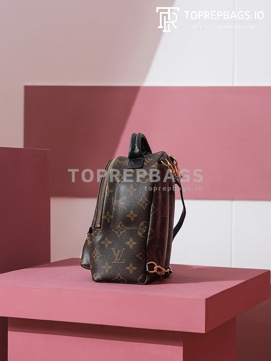 i1698739827_4630_1 Louis Vuitton Palm Springs Mini in Brown