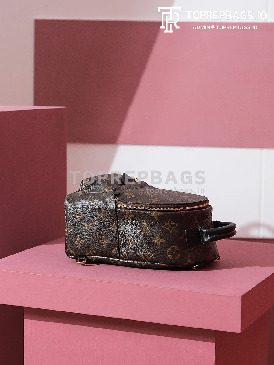 i1698739827_6526_7 Louis Vuitton Palm Springs Mini in Brown