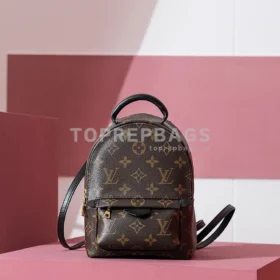i1698739827_6966_0 Louis Vuitton Palm Springs Mini in Brown
