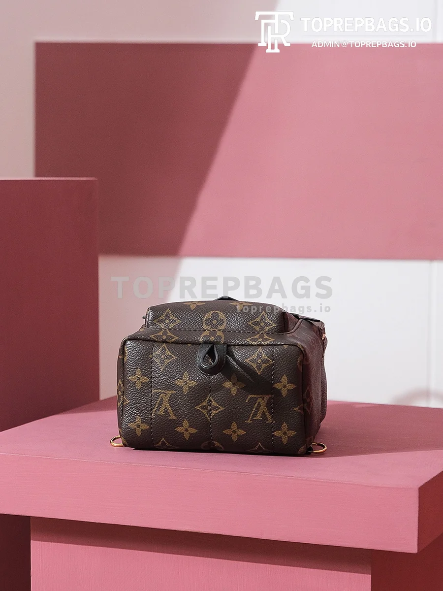 i1698739827_7786_8 Louis Vuitton Palm Springs Mini in Brown
