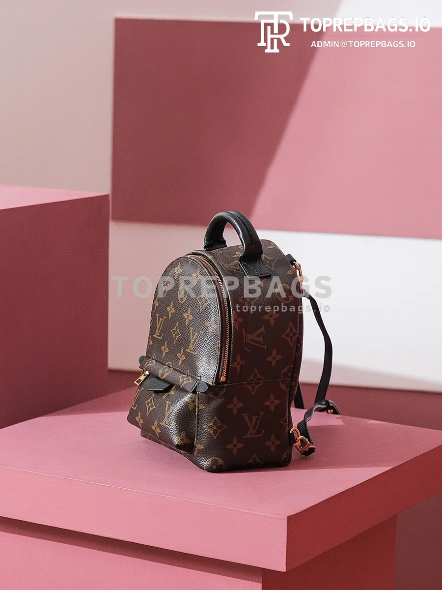 i1698739827_9139_5 Louis Vuitton Palm Springs Mini in Brown