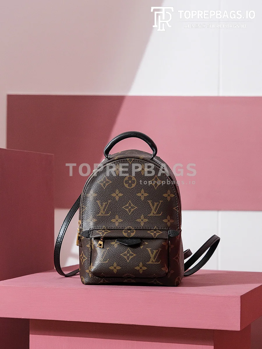 i1698739892_2635_0 Louis Vuitton Palm Springs Mini in Brown