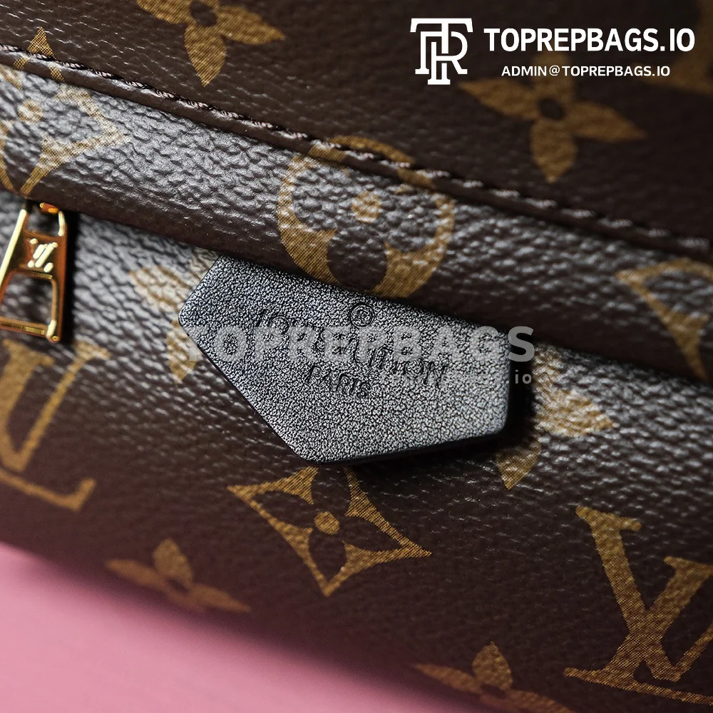 i1698739934_254_3 Louis Vuitton Palm Springs Mini in Brown