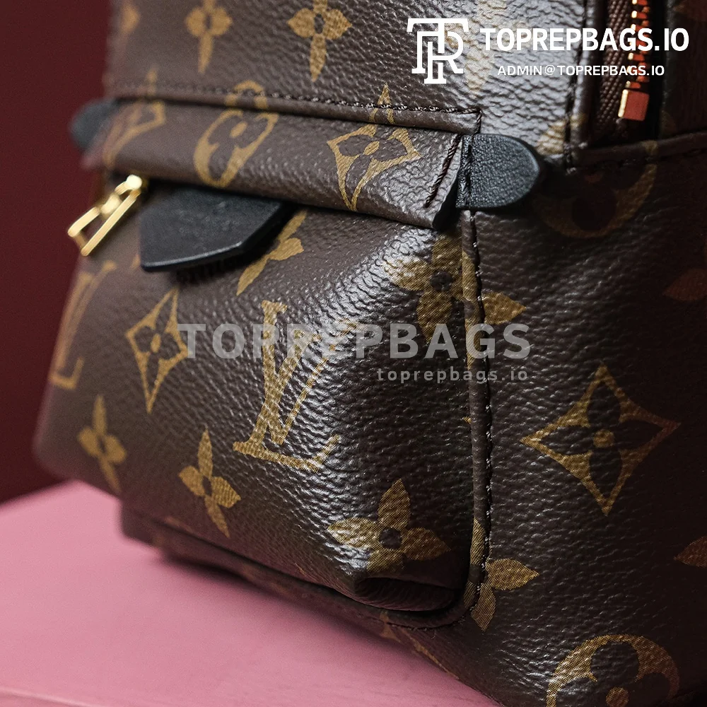i1698739934_3169_1 Louis Vuitton Palm Springs Mini in Brown