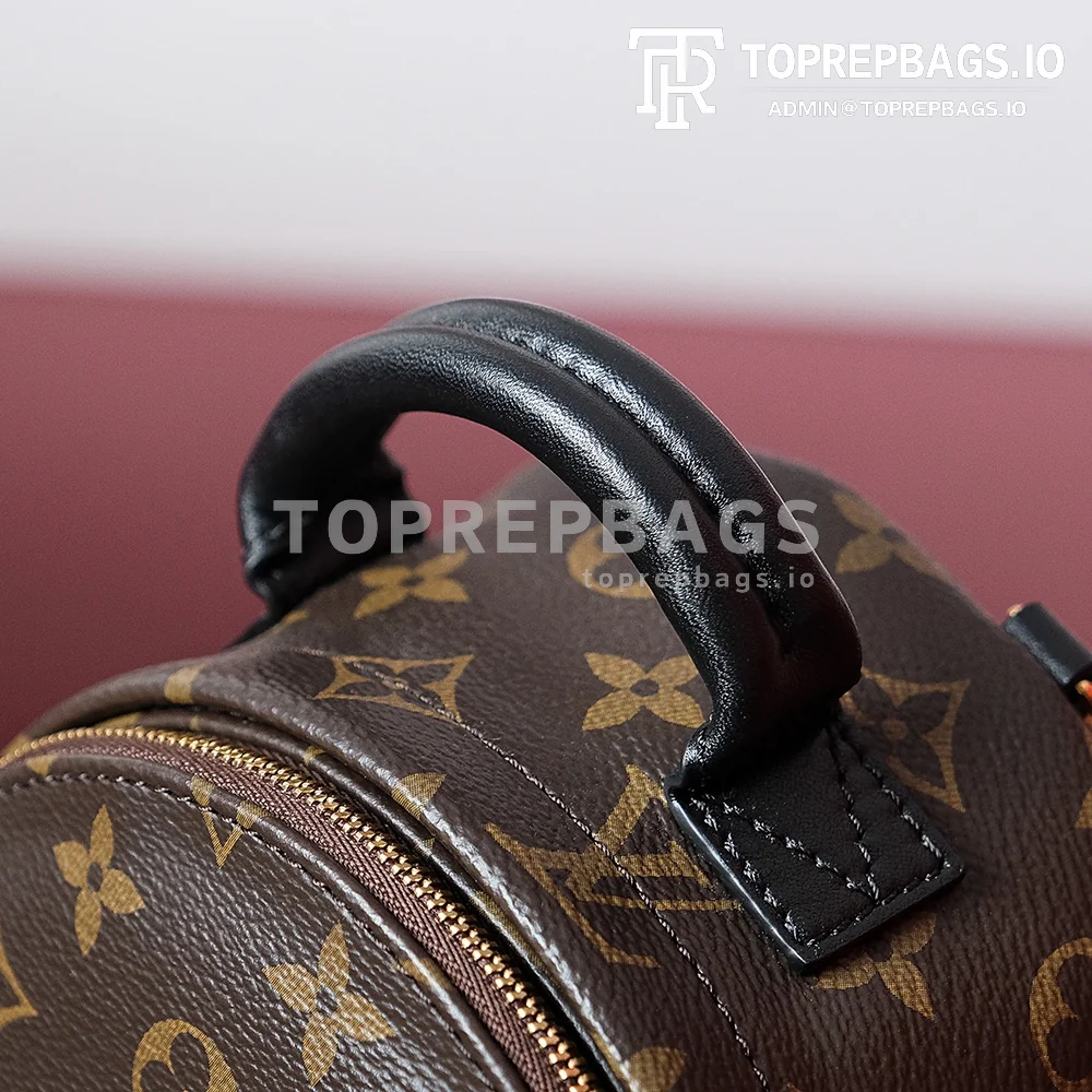 i1698739934_5330_4 Louis Vuitton Palm Springs Mini in Brown