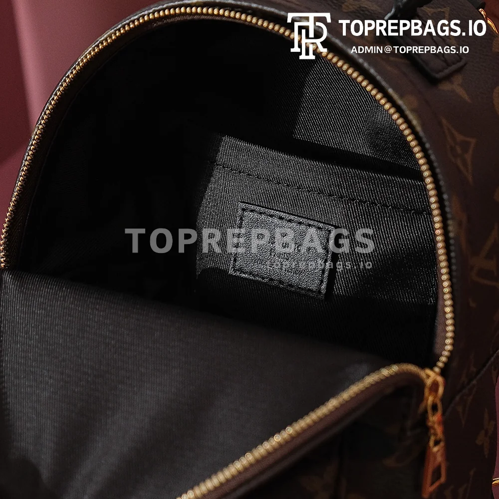 i1698739934_7544_8 Louis Vuitton Palm Springs Mini in Brown