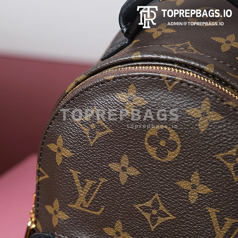 i1698739934_9141_0 Louis Vuitton Palm Springs Mini in Brown