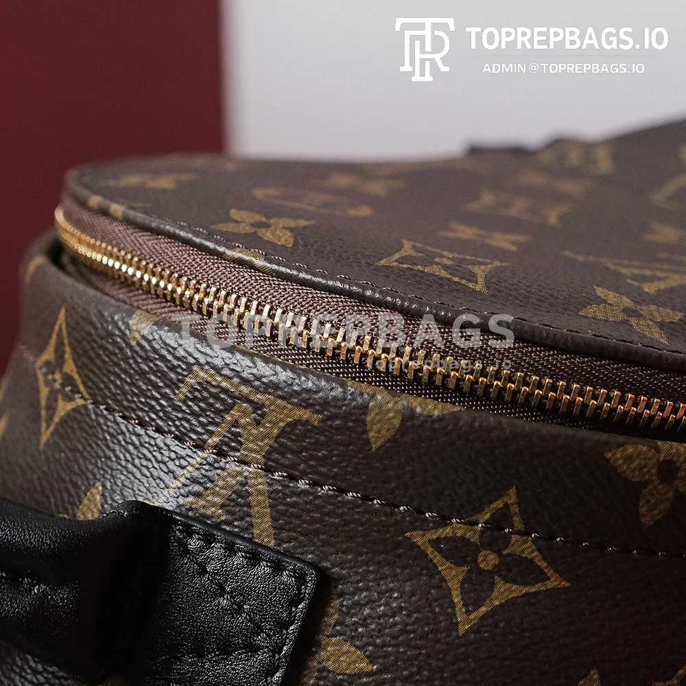 i1698739934_9938_2 Louis Vuitton Palm Springs Mini in Brown