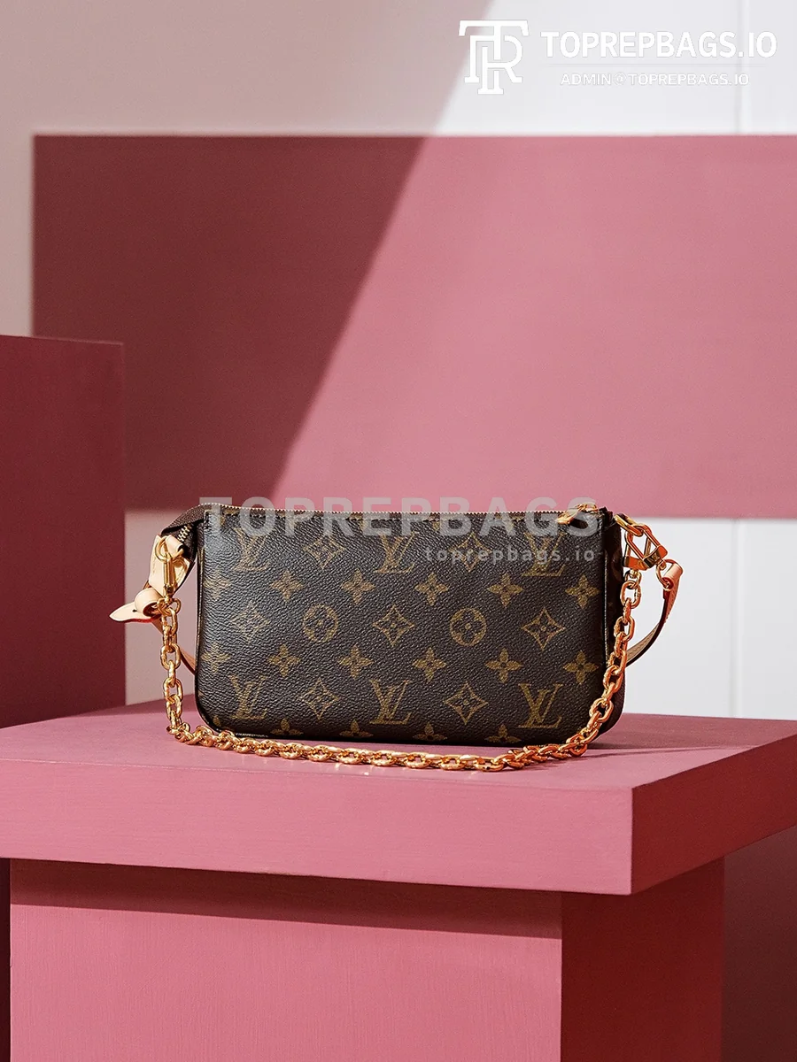 i1699436966_1455_4 Louis Vuitton Pochette Accessoires in Brown